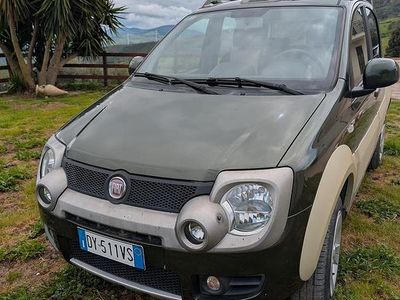 Usata Fiat Panda 4x4 Cross 95 CV (69 kW) 2010 Utilitaria