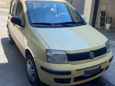 Usata Fiat Panda Active 77 CV (56 kW) 2011 Giallo Utilitaria