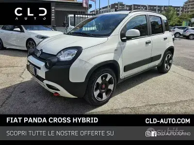 Usata Fiat Panda Cross Cross 70 CV (51 kW) 2024 Bianco Utilitaria