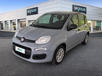 Occasion Fiat Panda S 69 ch (50 kW) 2022 Gris Citadine