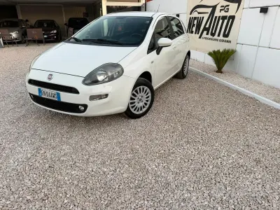 Usata Fiat Punto Lounge 70 CV (51 kW) 2013 Bianco Utilitaria