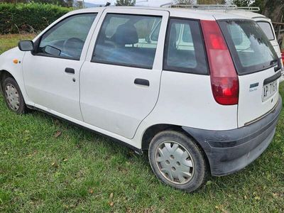 usata Fiat Punto Punto5p 1.1 S 55cv