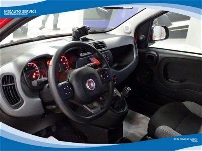 usata Fiat Panda Cross 1.0 FireFly S&S Hybrid City usato