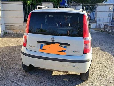 Usata Fiat Panda Dynamic 60 CV (44 kW) 2007 Bianco Utilitaria