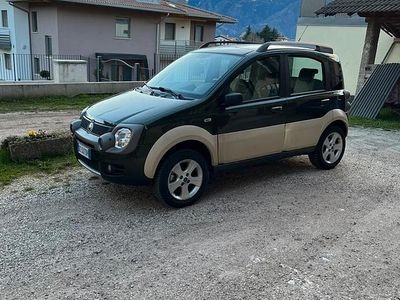 Usata Fiat Panda 4x4 Cross 69 CV (50 kW) 2006 Verde Utilitaria