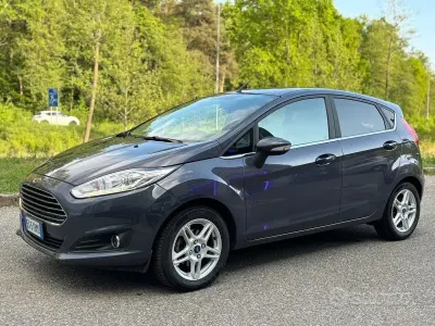 Usata Ford Fiesta Business Edition 80 CV (58 kW) 2014 Grigio Utilitaria