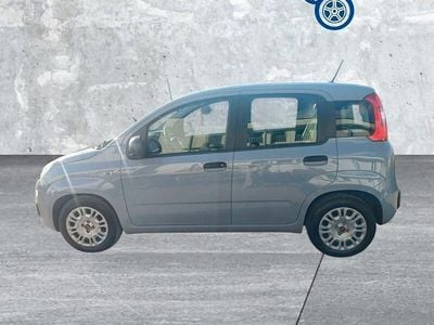Usata Fiat Panda S 70 CV (51 kW) 2021 Grigio Utilitaria
