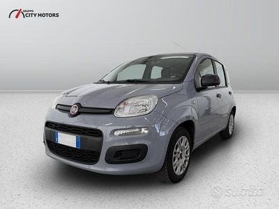 Usata Fiat Panda Pop 69 CV (50 kW) 2018 Grigio Utilitaria