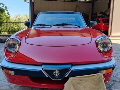 usata Alfa Romeo Spider - 1987