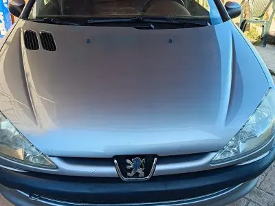 Usata Peugeot 206 68 CV (50 kW) 2004 Grigio Berlina