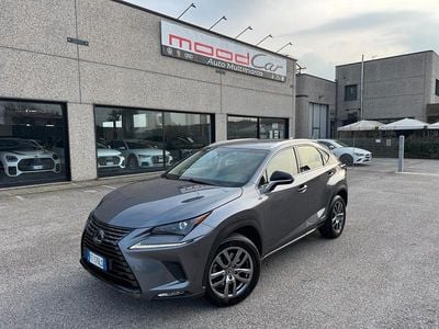 Usata Lexus NX300h Business Edition 155 CV (114 kW) 2019 Grigio SUV
