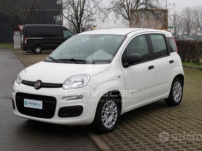 Usata Fiat Panda Easy 69 CV (50 kW) 2018 Bianco Utilitaria