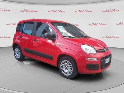 Usata Fiat Panda Lounge 69 CV (50 kW) 2020 Rosso Utilitaria