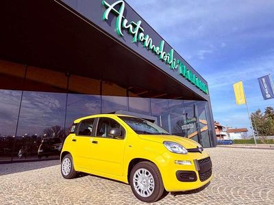 Nuova Fiat Panda Icon 69 CV (50 kW) 2025 Giallo Berlina