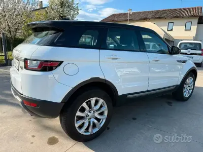 Usata Land Rover Range Rover evoque 150 CV (110 kW) 2019 Bianco SUV