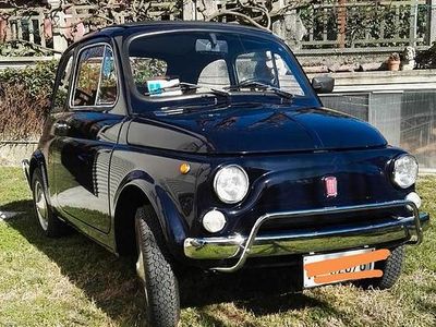 Usata Fiat 500L 1970 Blu Monovolume