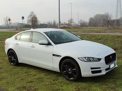 usata Jaguar XE XE2.0d Prestige Business edition awd 180cv auto