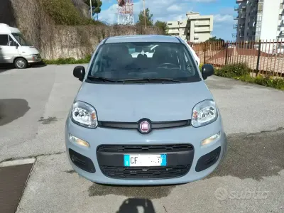 Usata Fiat Panda 70 CV (51 kW) 2021 Grigio Utilitaria