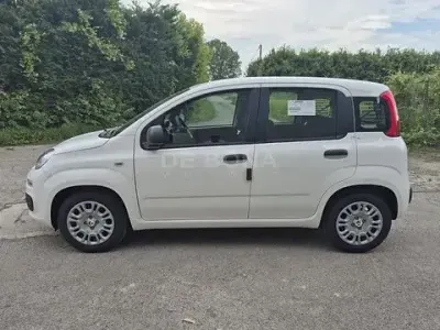 Nuova Fiat Panda Pop 65 CV (47 kW) 2026 Bianco Utilitaria