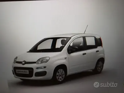 Usata Fiat Panda Easy 95 CV (69 kW) 2019 Bianco Utilitaria