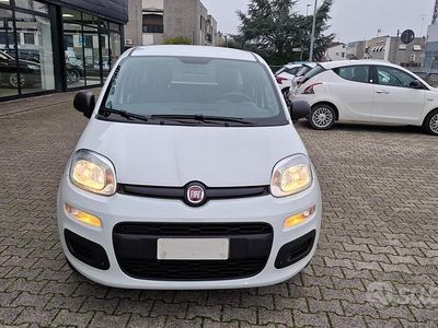 Usata Fiat Panda Easy 69 CV (50 kW) 2020 Bianco Utilitaria
