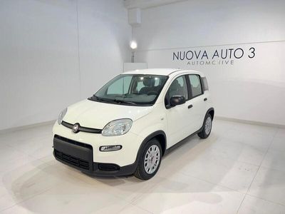 usata Fiat Panda Panda 1.0 FireFly S&S Hybrid