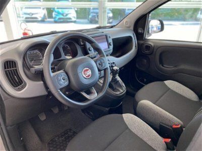 usata Fiat Panda Cross 1.0 FireFly S&S Hybrid City usato