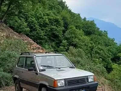 Usata Fiat Panda 4x4