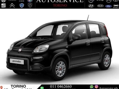 usata Fiat Panda 3ª serie 1.0 FireFly S&S Hybrid