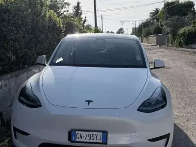 Brugt Tesla Model Y RWD 88 kW (120 HK) 2024 SUV