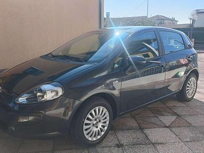 Usata Fiat Punto Evo Active 77 CV (56 kW) 2011 Utilitaria