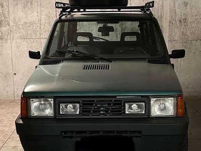 Usata Fiat Panda 4x4 Trekking 54 CV (39 kW) 2002 Verde Utilitaria
