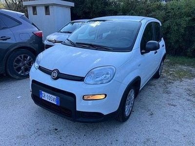 Usata Fiat Panda S 69 CV (50 kW) 2025 Bianco Utilitaria