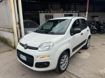 Usata Fiat Panda Lounge 85 CV (62 kW) 2020 Bianco Utilitaria