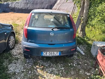 Usata Fiat Punto