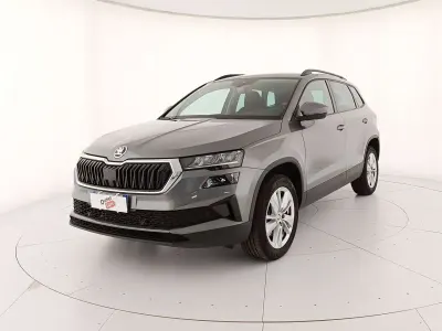 Usata Skoda Karoq
