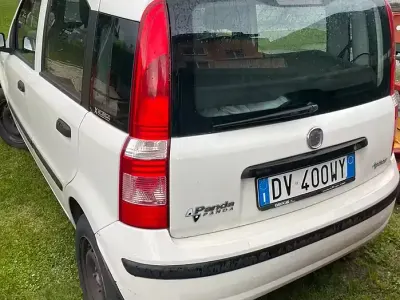 Usata Fiat Panda 60 CV (44 kW) 2009 Utilitaria