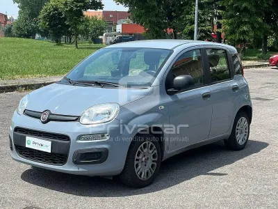 Usata Fiat Panda Lounge 69 CV (50 kW) 2021 Grigio Utilitaria