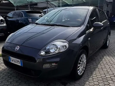 Usata Fiat Punto Evo