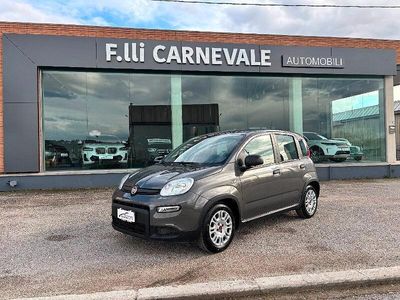 Usata Fiat Panda S 69 CV (50 kW) 2023 Grigio Utilitaria