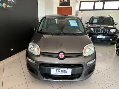 Usata Fiat Panda Easy 69 CV (50 kW) 2020 Grigio Utilitaria