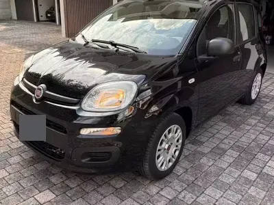 Usata Fiat Panda Easy 69 CV (50 kW) 2013 Nero Utilitaria