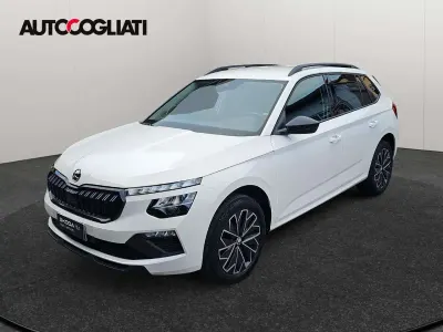 Usata Skoda Kamiq