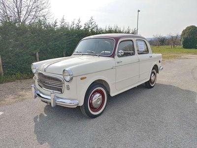 Usata Fiat 1100 50 CV (36 kW) 1959 Bianco Berlina