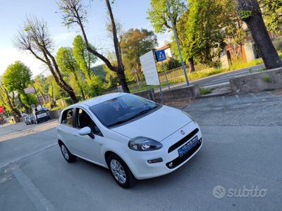 usata Fiat Punto Evo 1.3mjt Neopatentati - 2014