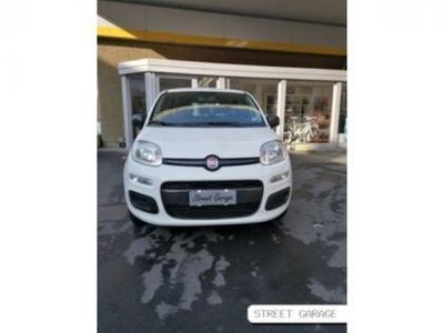 usata Fiat Punto 4ª serie 1.2 8V 5 porte Easy