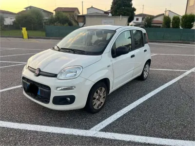 Usata Fiat Panda Pop 69 CV (50 kW) 2017 Bianco Utilitaria