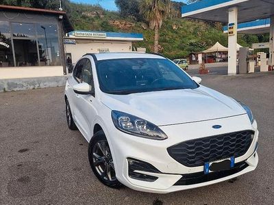 Usata Ford Kuga ST-Line X 120 CV (88 kW) 2023 Bianco SUV