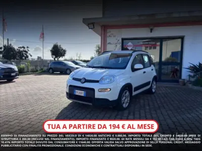 Usata Fiat Panda Red 70 CV (51 kW) 2023 Bianco Berlina