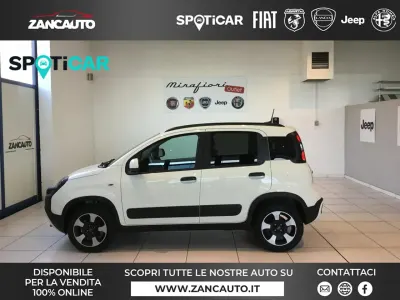 Usata Fiat Panda Cross Cross 69 CV (50 kW) 2024 Bianco Utilitaria